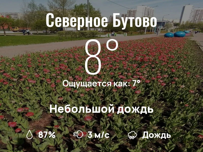 Что с погодой в Северном Бутово?