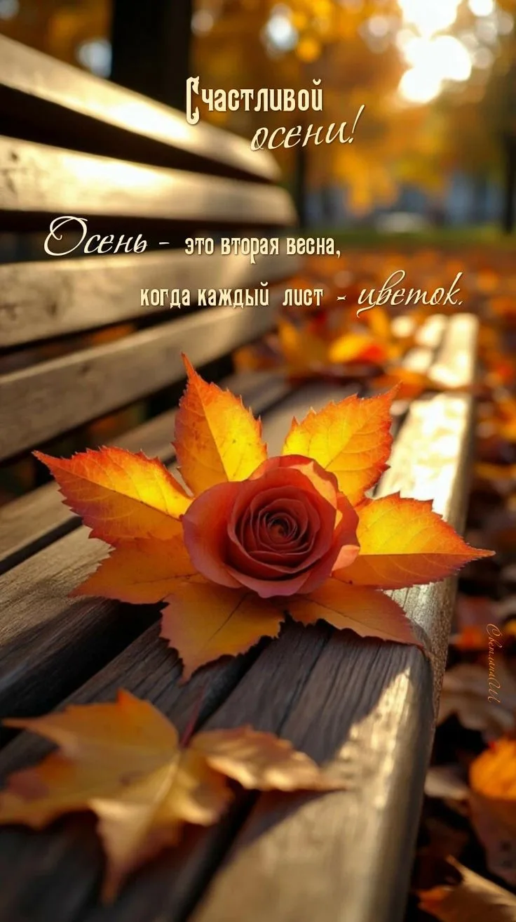 Фото