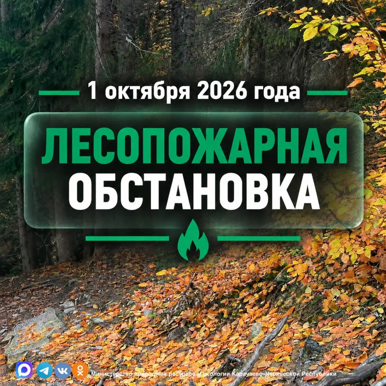 🔥 ЛЕСОПОЖАРНАЯ ОБСТАНОВКА