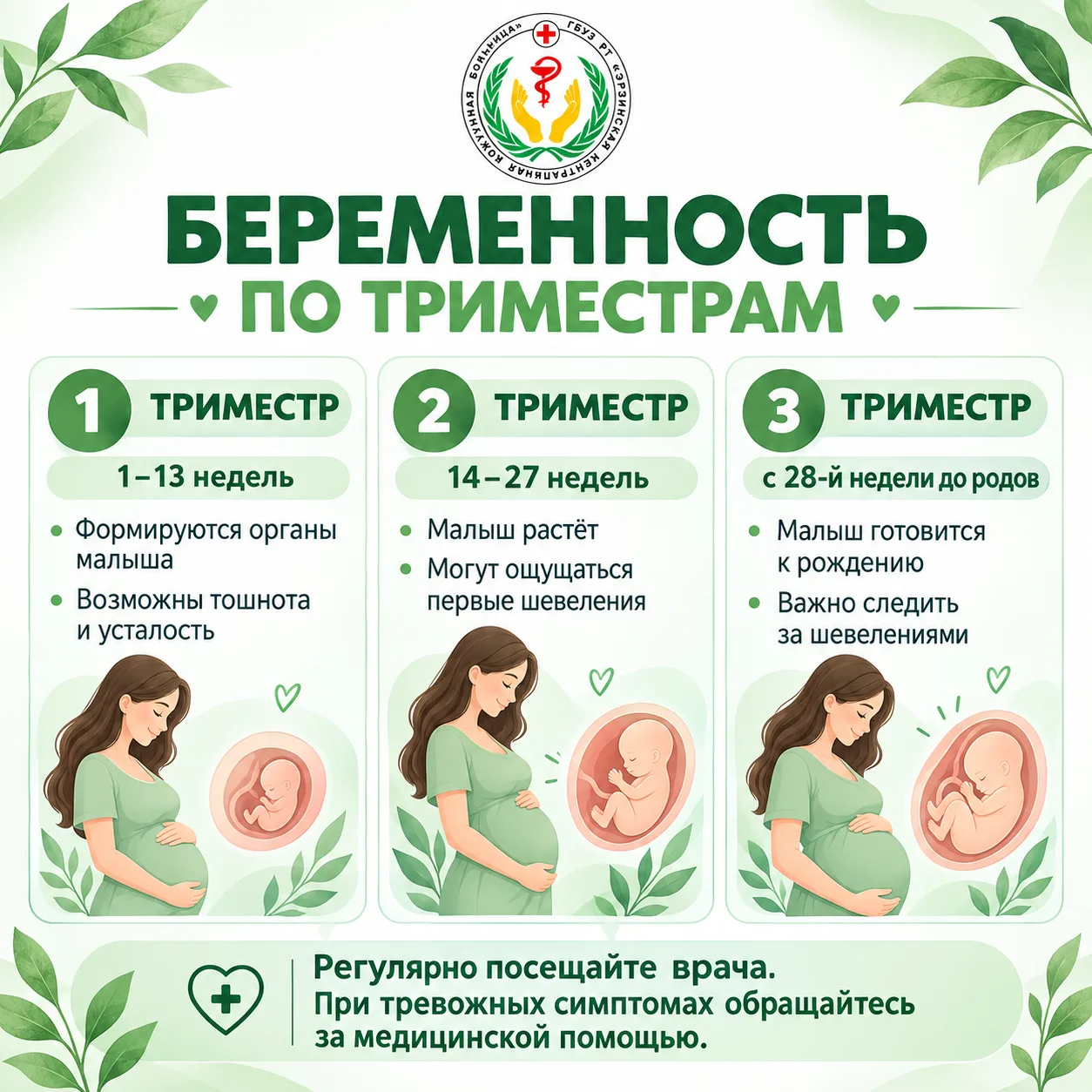 🤰 ОСОБЕННОСТИ БЕРЕМЕННОСТИ ПО ТРИМЕСТРАМ