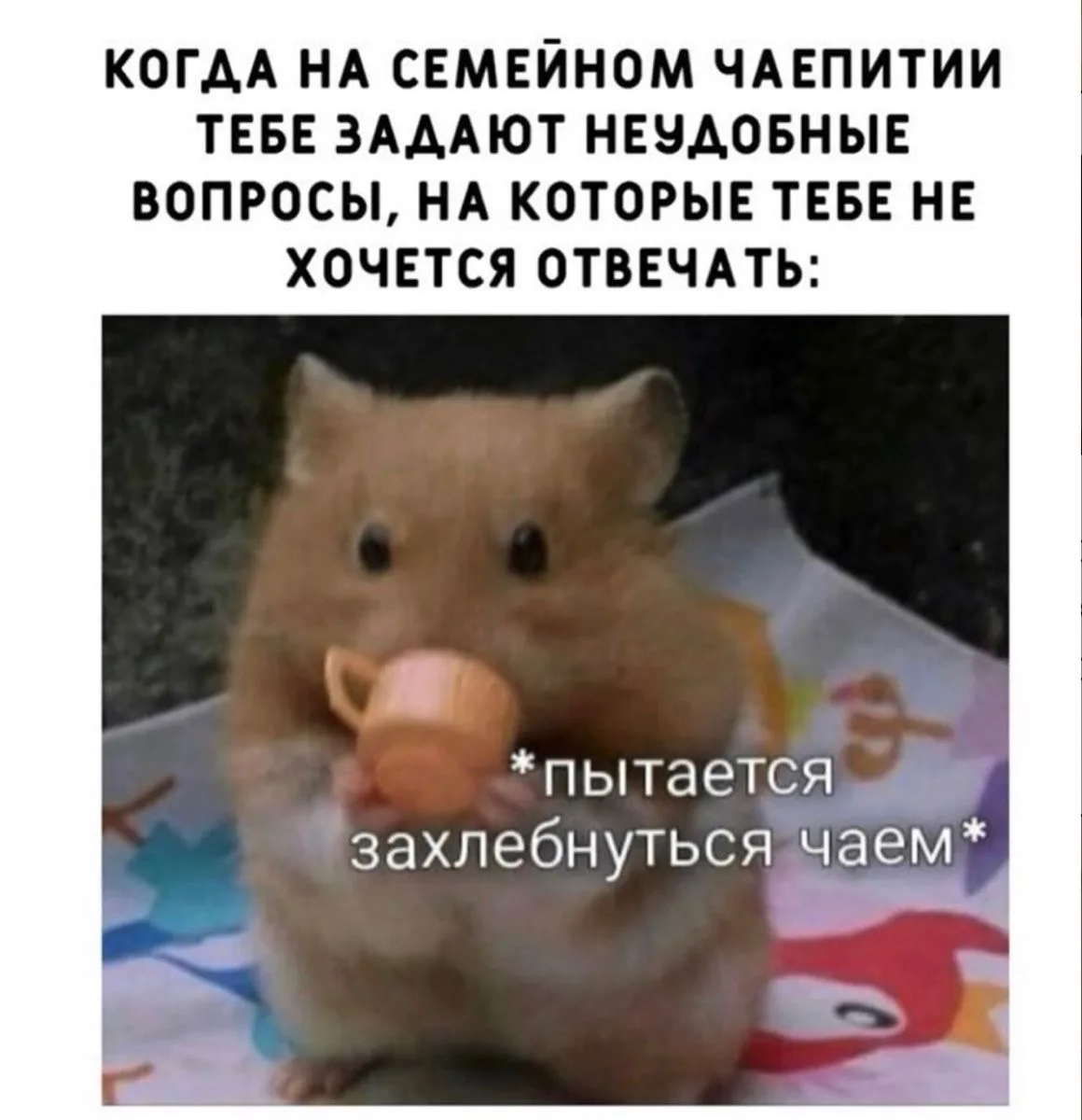 Было ?🤣🤣🤣