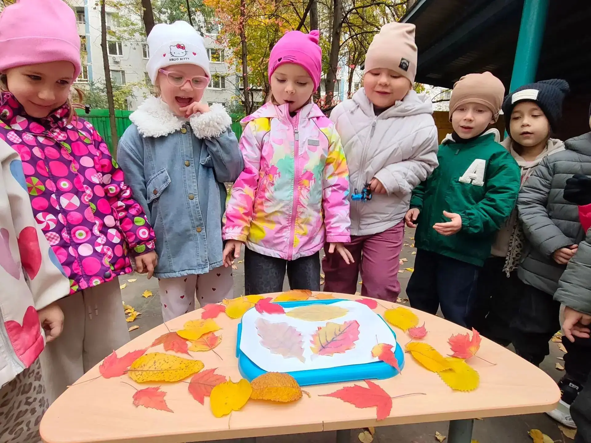 Образовательная прогулка