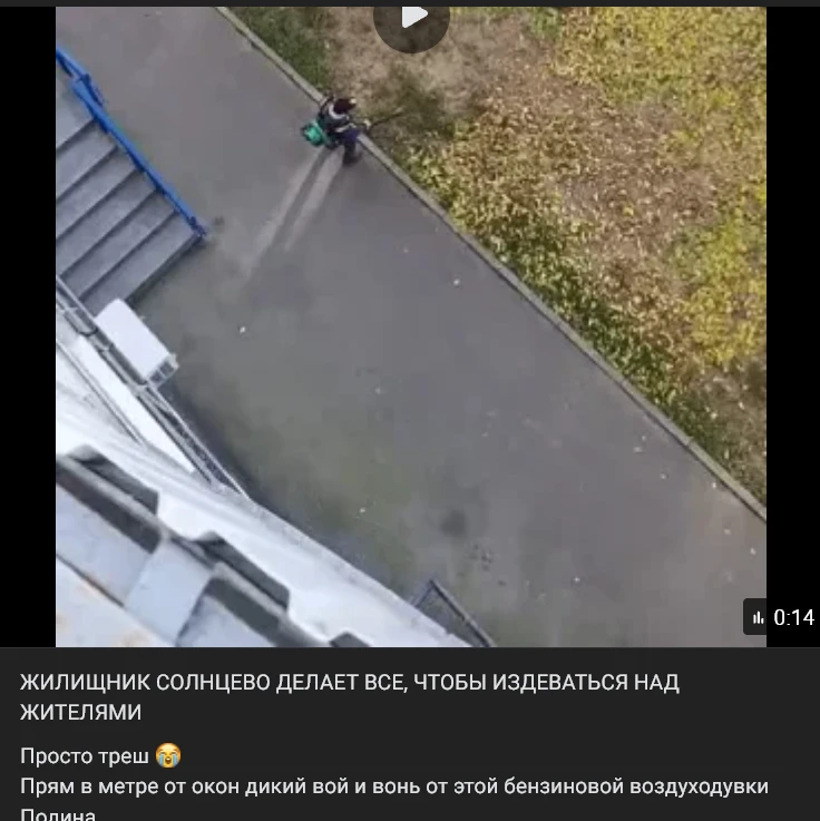 ПРЕФЕКТУРА, БЕСЕДЫ НЕ ПОМОГАЮТ, НАДО УВОЛИТЬ ДИРЕКТОРА