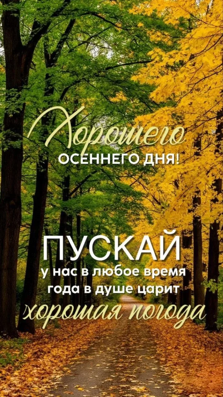 🍂 Доброе утро, Кубань!