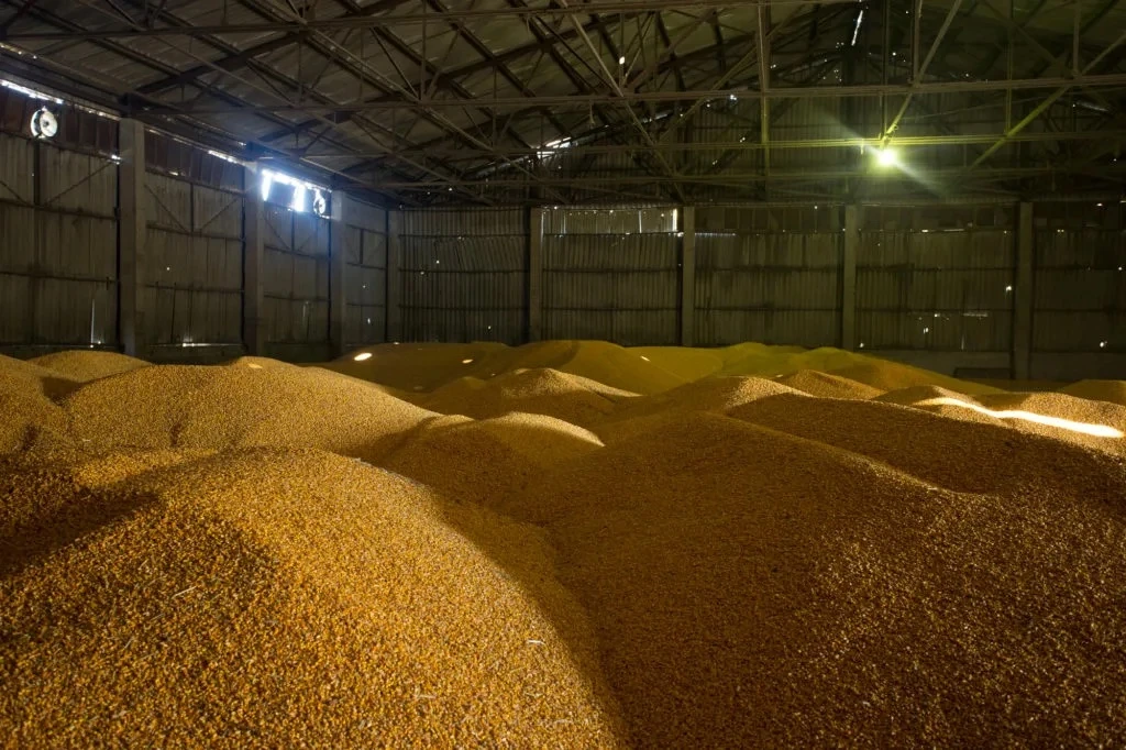 Донским аграриям всё сложнее продавать зерно