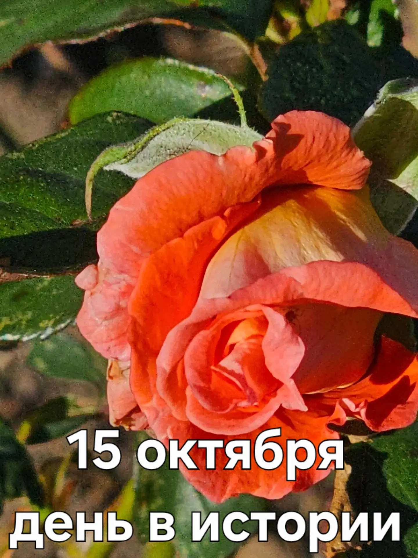 А знаете ли вы, что ❓