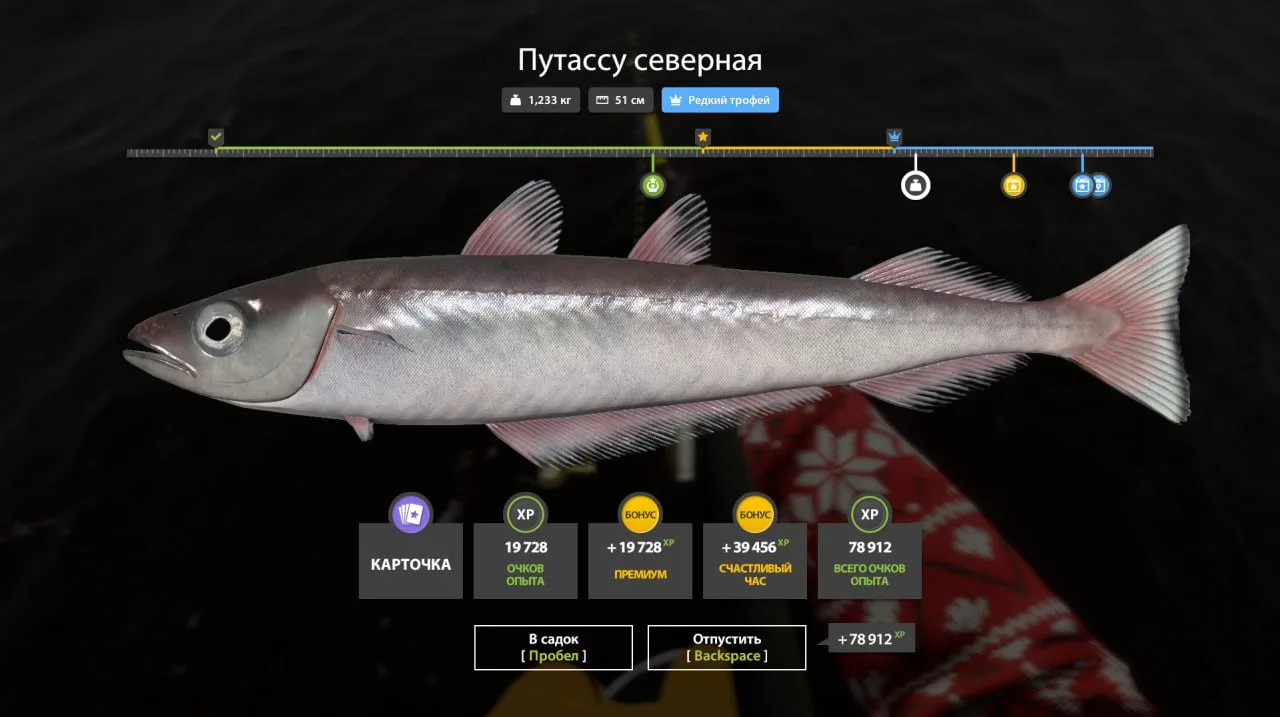 #норвежское@RF4_Vkluchite_klev