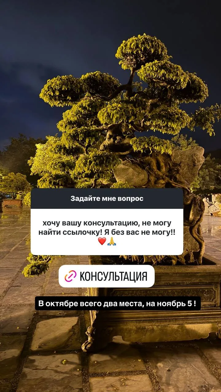 Я давно не публиковала ссылок на консультации, так как временно никого не брала, только...