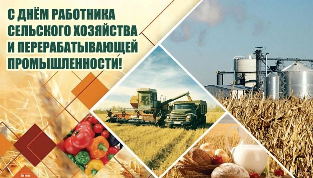 "Уважаемые агрономы, механизаторы, животноводы, доярки, работники элеваторов, перерабат...