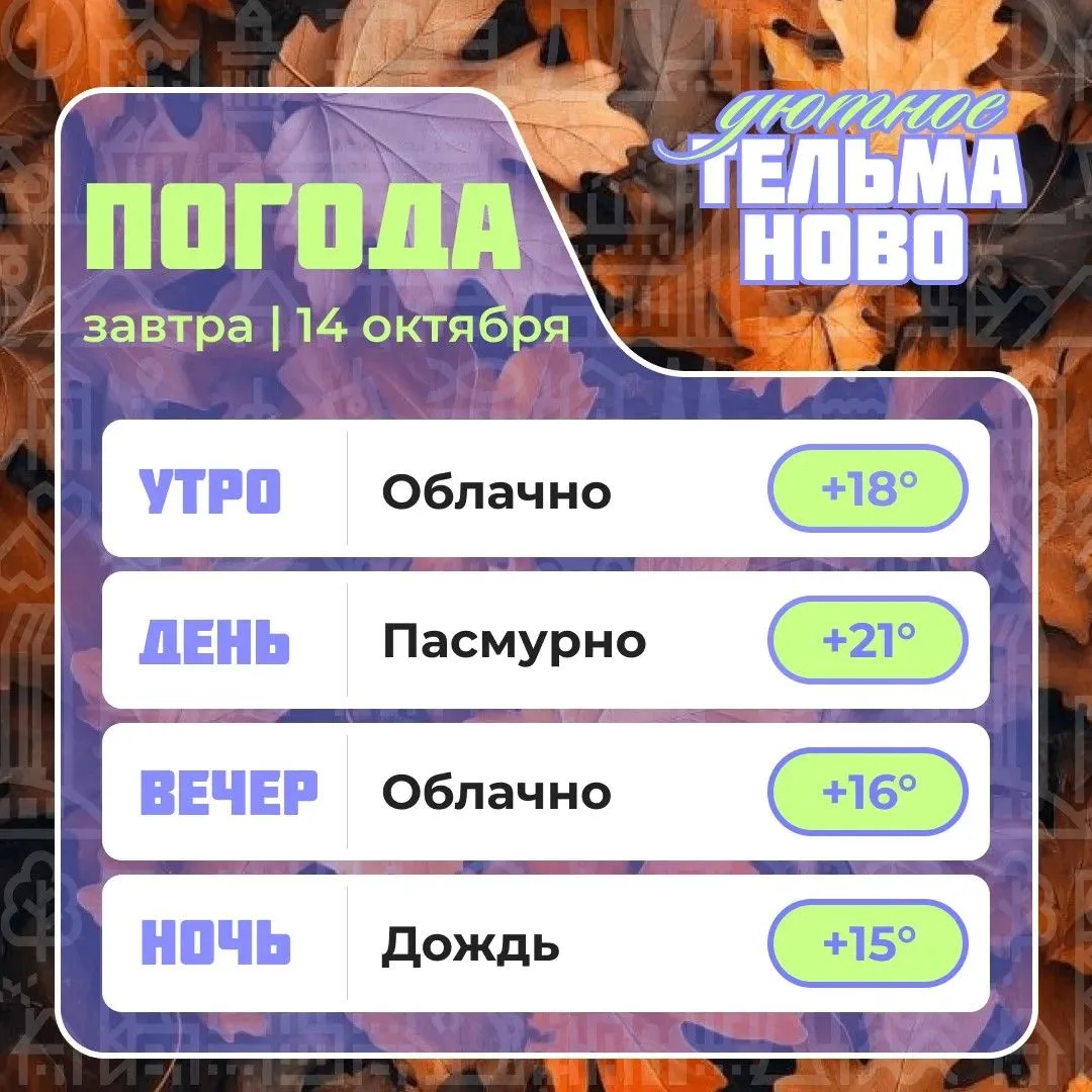 Ваш гид по погоде на завтра🌡