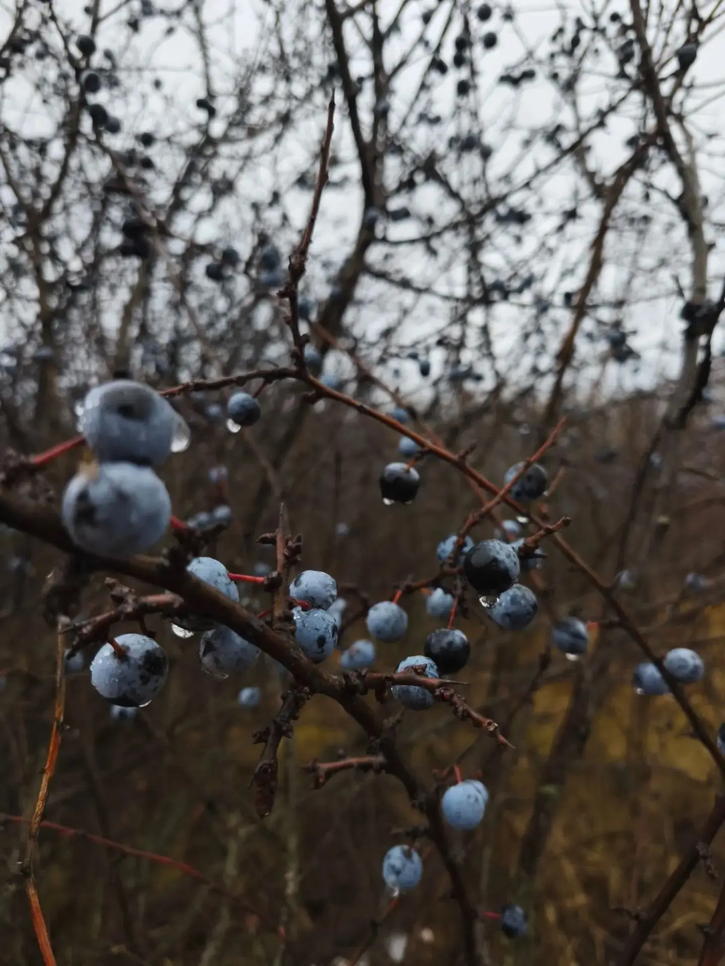 Октябрь в Белгородской области 🍂