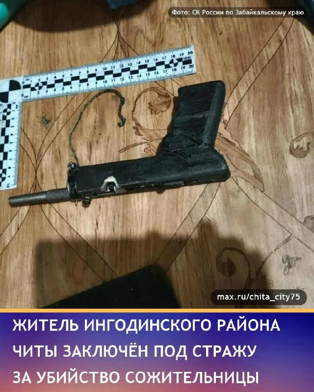 В Ингодинском районе Читы 35-летний мужчина застрелил сожительницу из самодельного оруж...