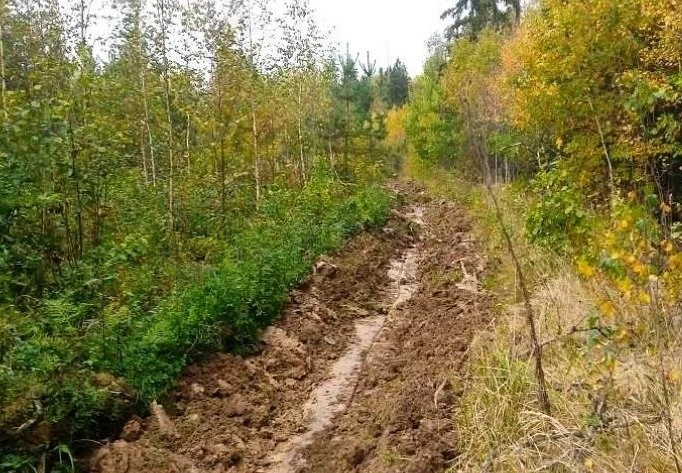 🌲 Годовой план по защите лесов от пожаров полностью выполнен в Московском учебно-опытн...