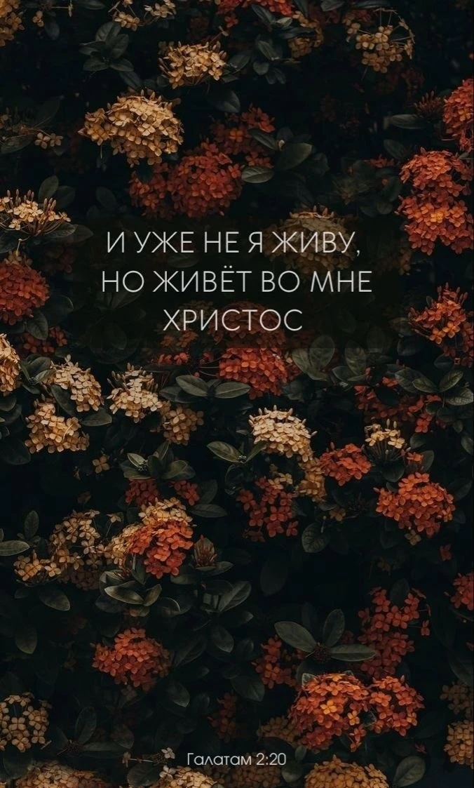«И уже не я живу, но живет во мне Христос». — Гал. 2:20