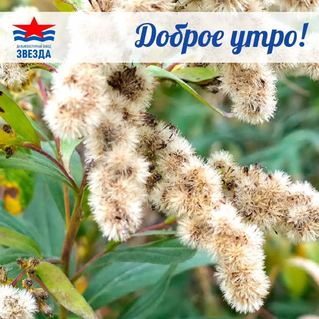 ☕ Доброе утро!