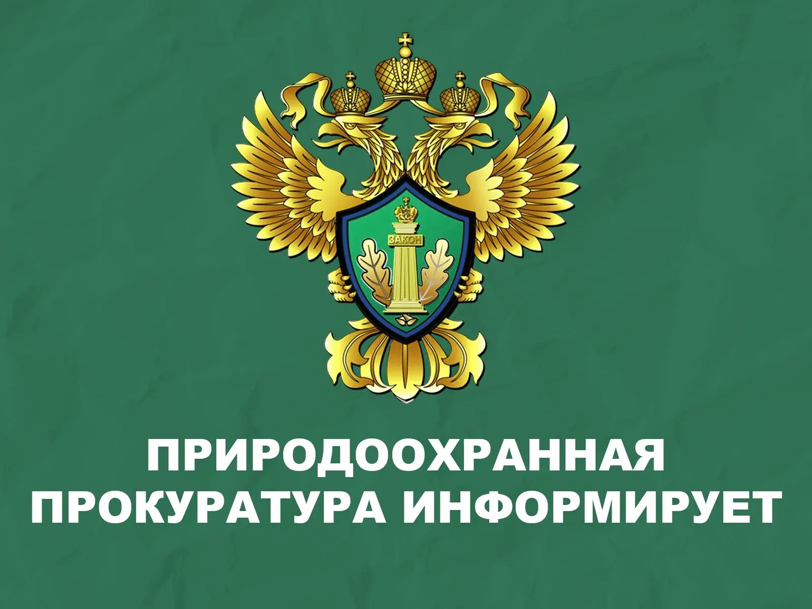 Байкальской межрегиональной природоохранной прокуратурой с 7 по 15 октября 2026 года пр...