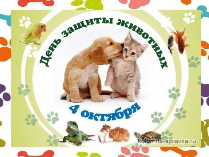Дети группы 1-48 присоединяются к акции «Корзина добра» 🛒, посвящённой Дню защиты живо...