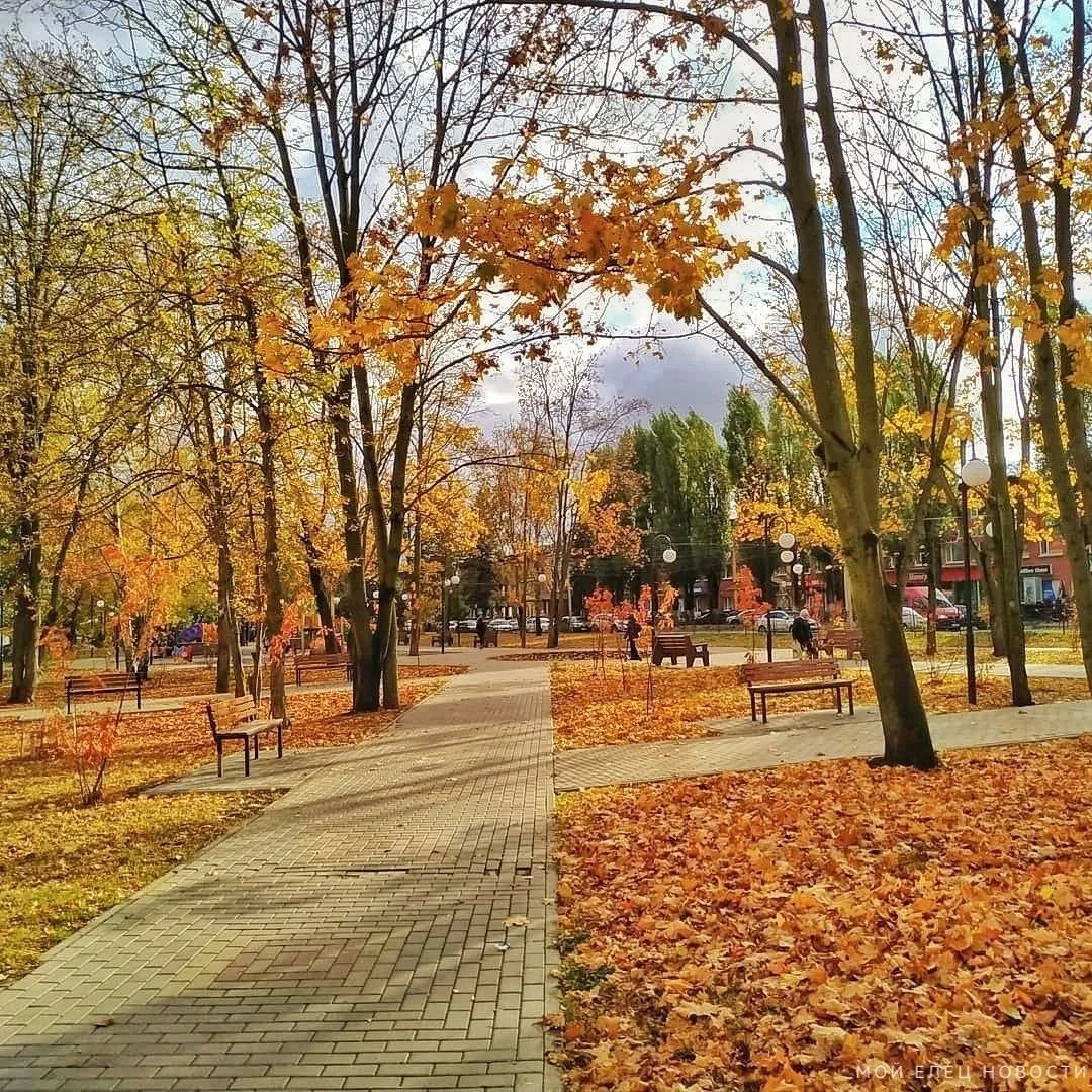 Осень в сквере Харченко — золотая 🍁
