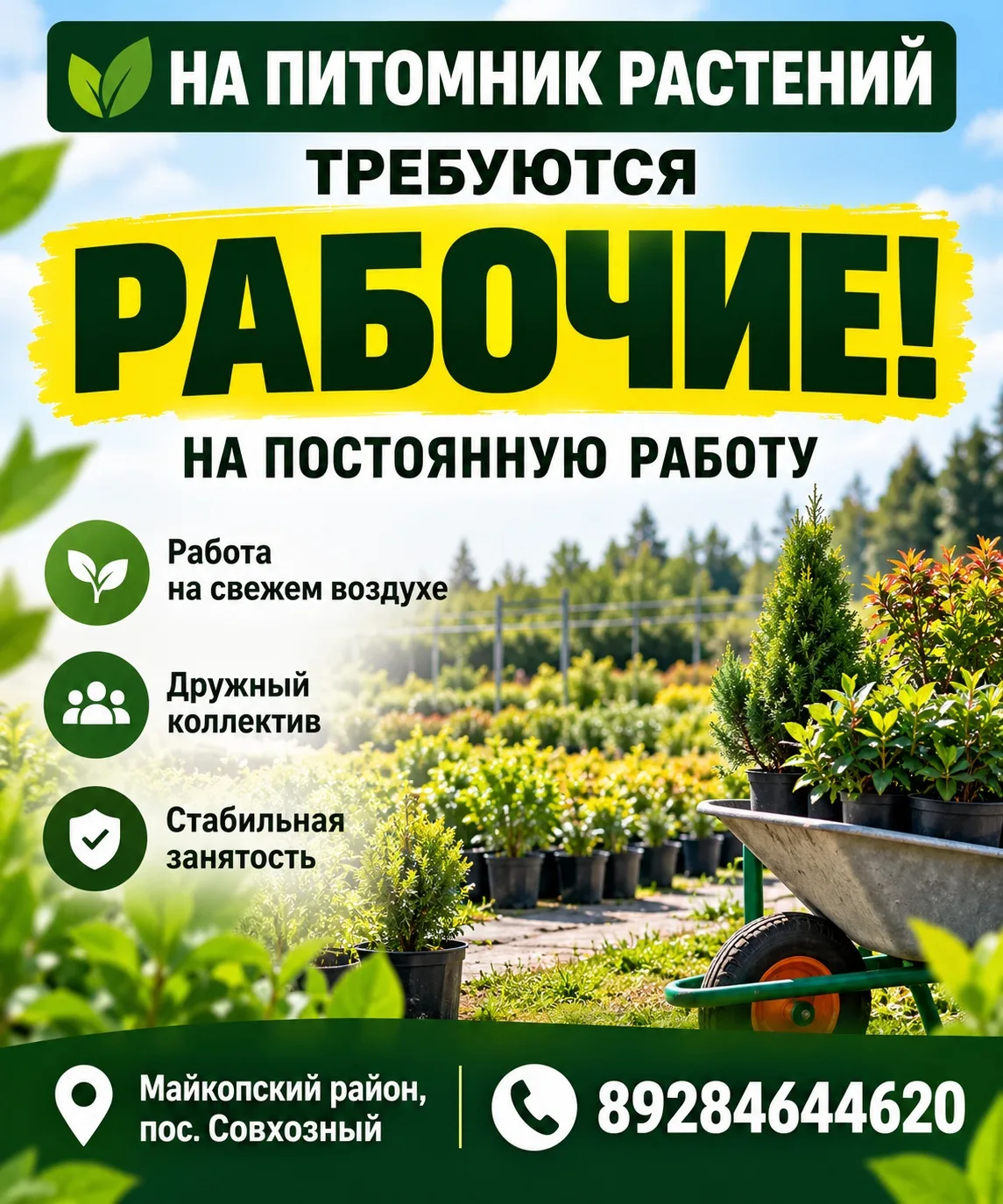 89284644620