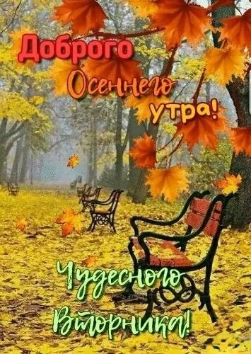 👉 ОТКРЫТКИ 💗 С добрым утром!