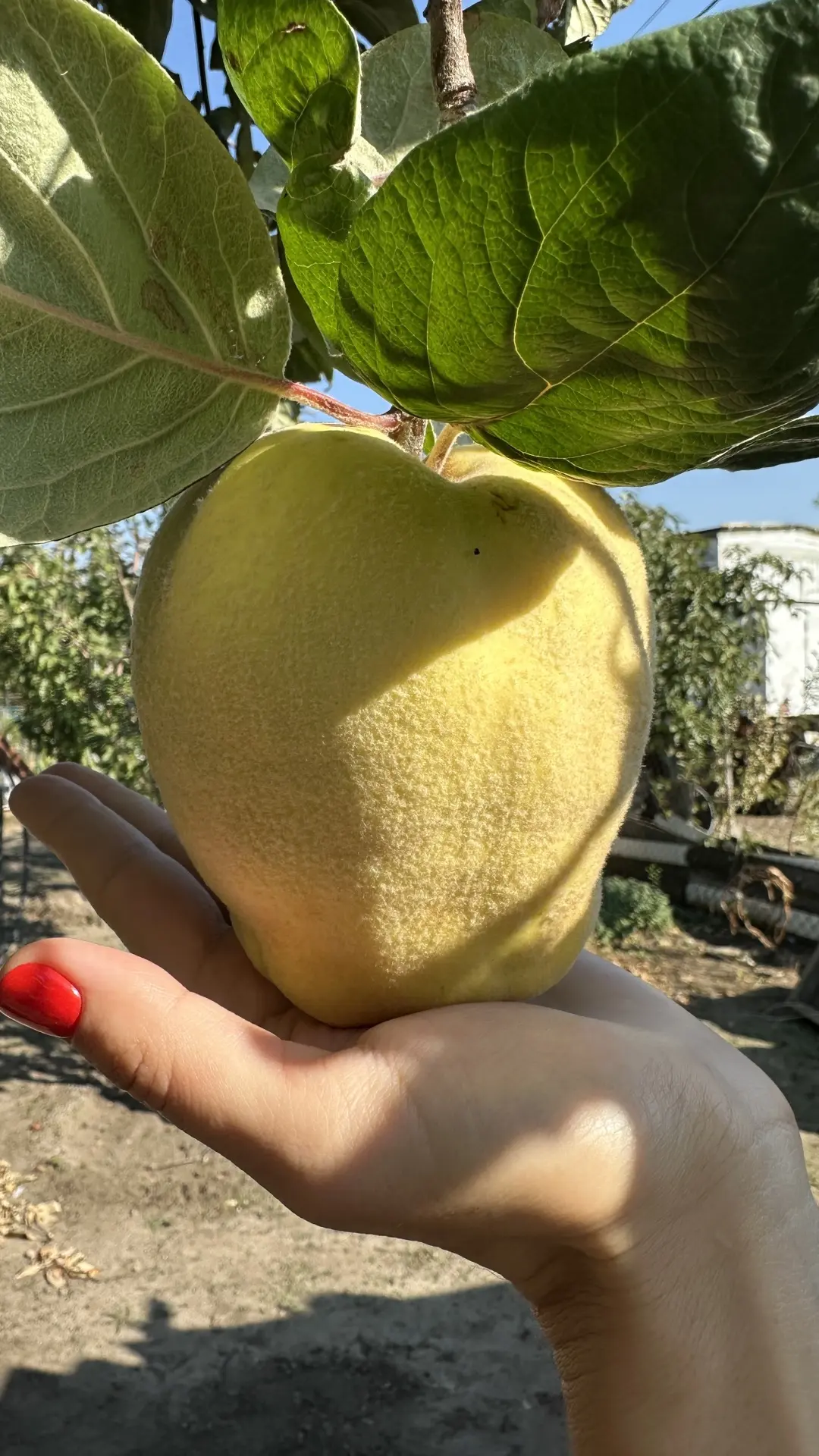 Доброе солнечное утро!😘
