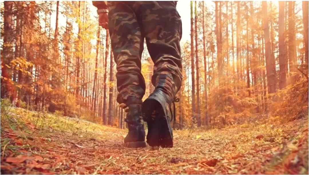 Осенний ветер резок и заносчив,