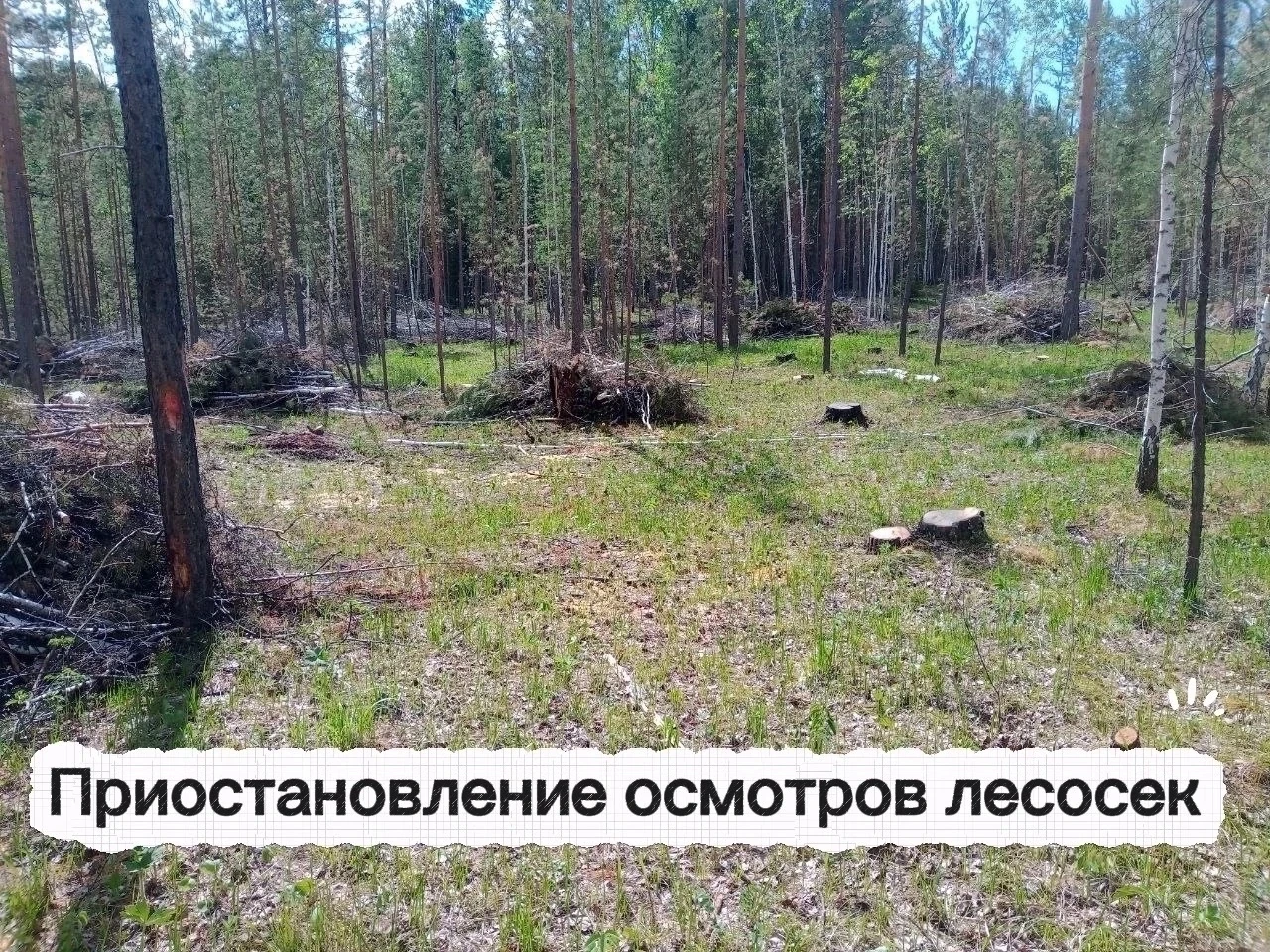 В связи с напряженной ситуацией, обусловленной высокой концентрацией бурых медведей на ...
