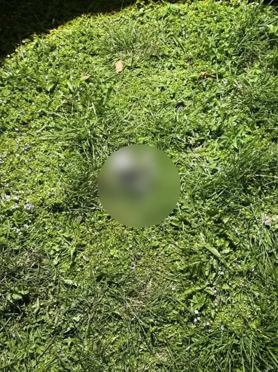 ⚡️БПЛА сбили сегодня ночью над Нижегородской областью.