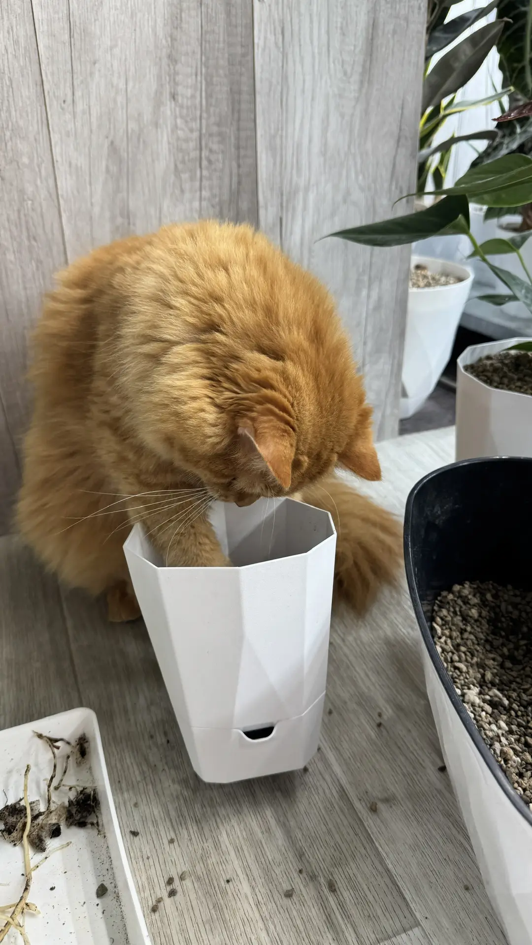 МАРСИК ДЛЯ НАСТРОЕНИЯ❤️