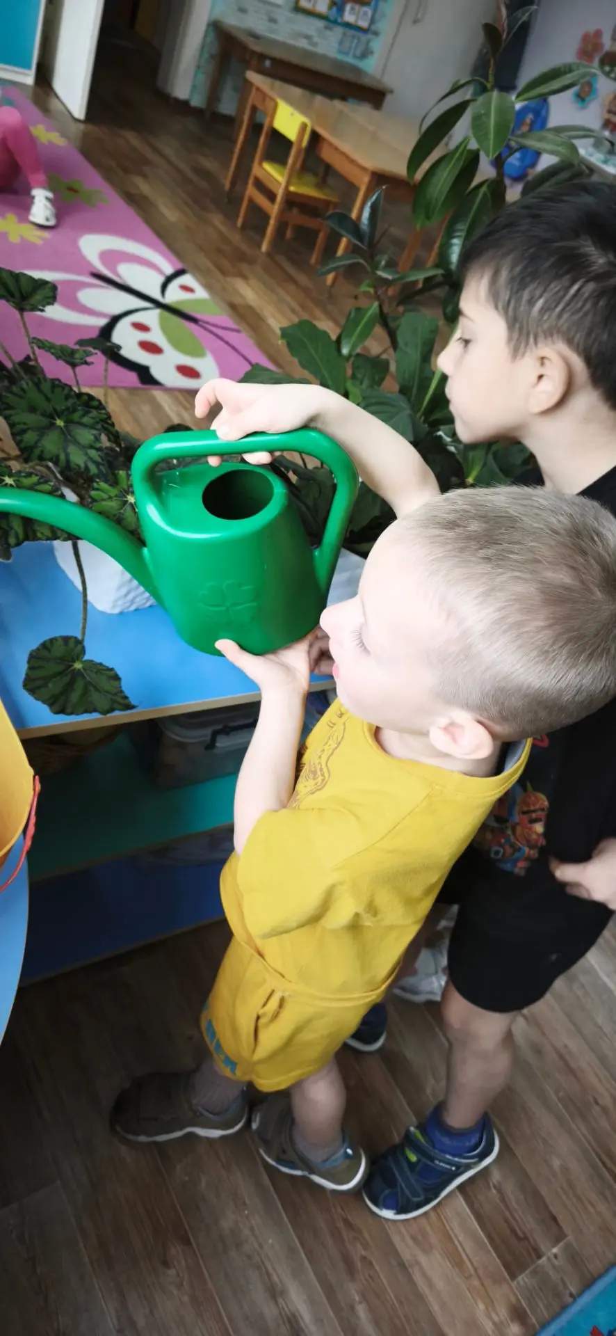 🌿 Маленькие садоводы: ухаживаем за зеленым уголком группы! 🪴💦