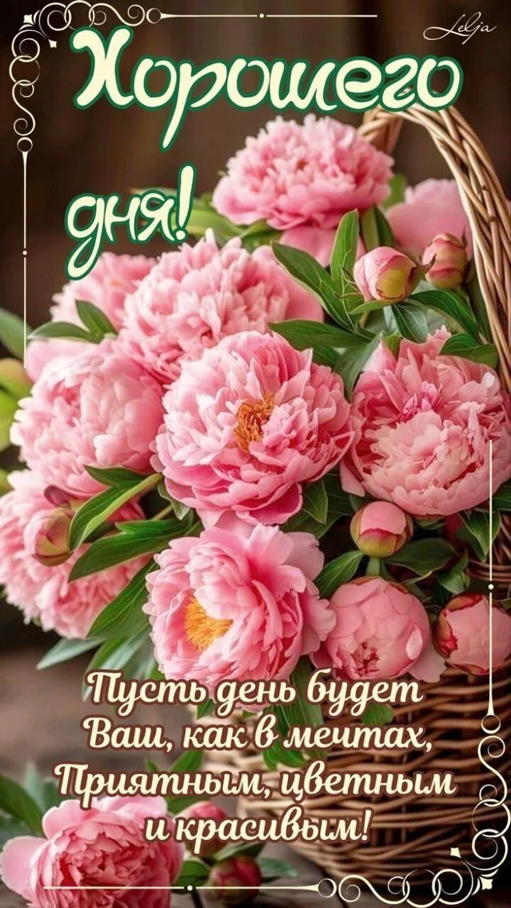 Открытки и поздравления — Подписывайся!