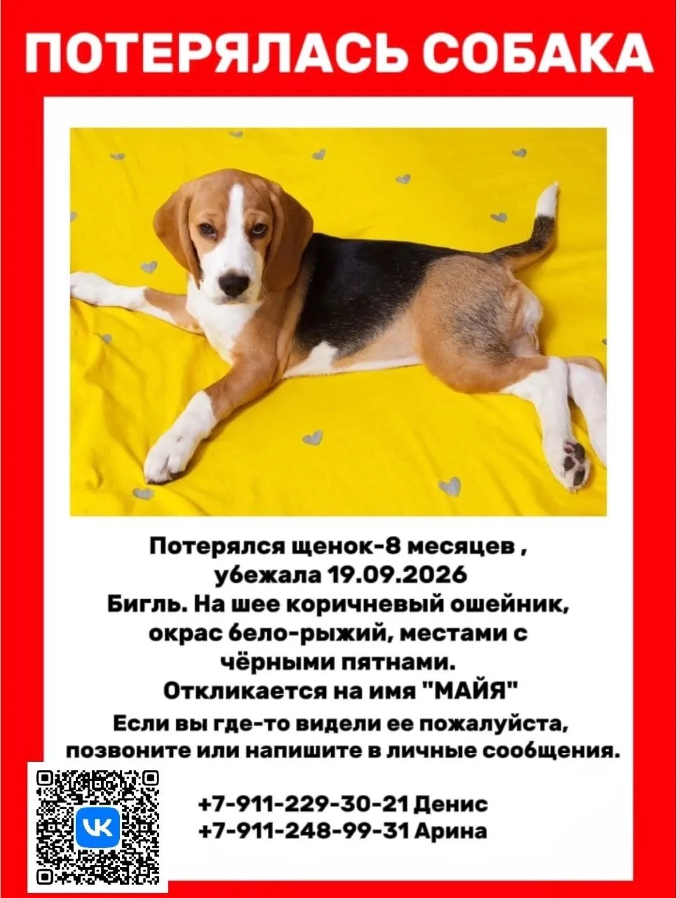 ПОИСК ПРОДОЛЖАЕТСЯ‼️‼️‼️