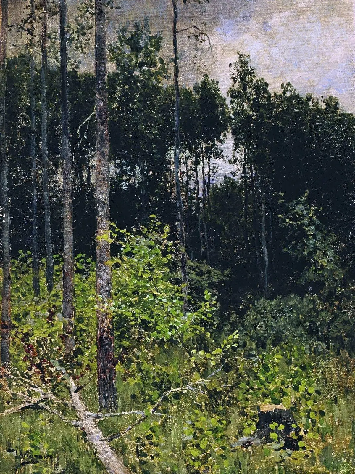 «Осиновая рощица. Серый день», 1884 г.