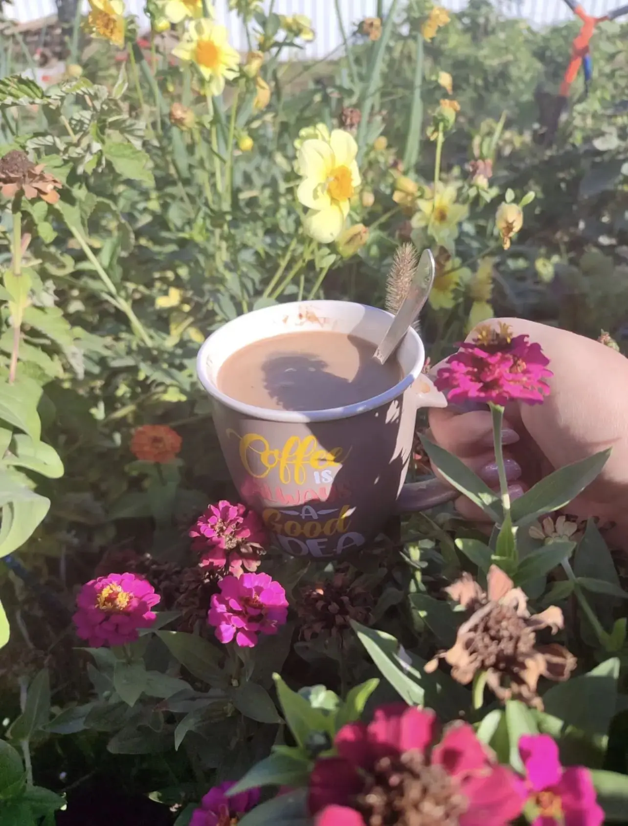 🌟Мои дорогие, здравствуйте и процветайте во все времена!