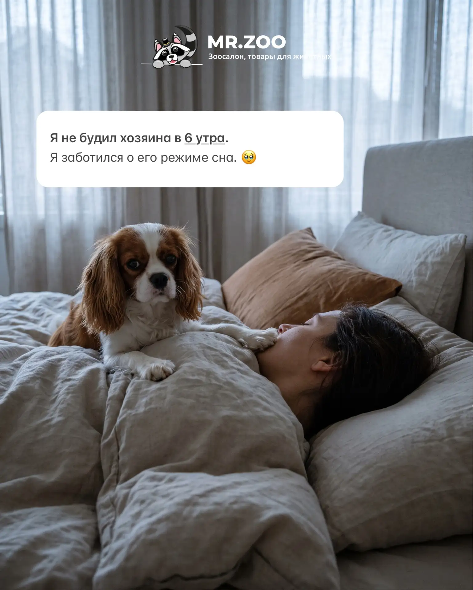 Отправьте этот пост тому, у кого дома живёт маленький начальник 😄