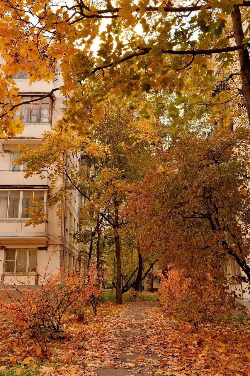 Открытое шоссе утопает в красках осенней листвы 😍 🍂
