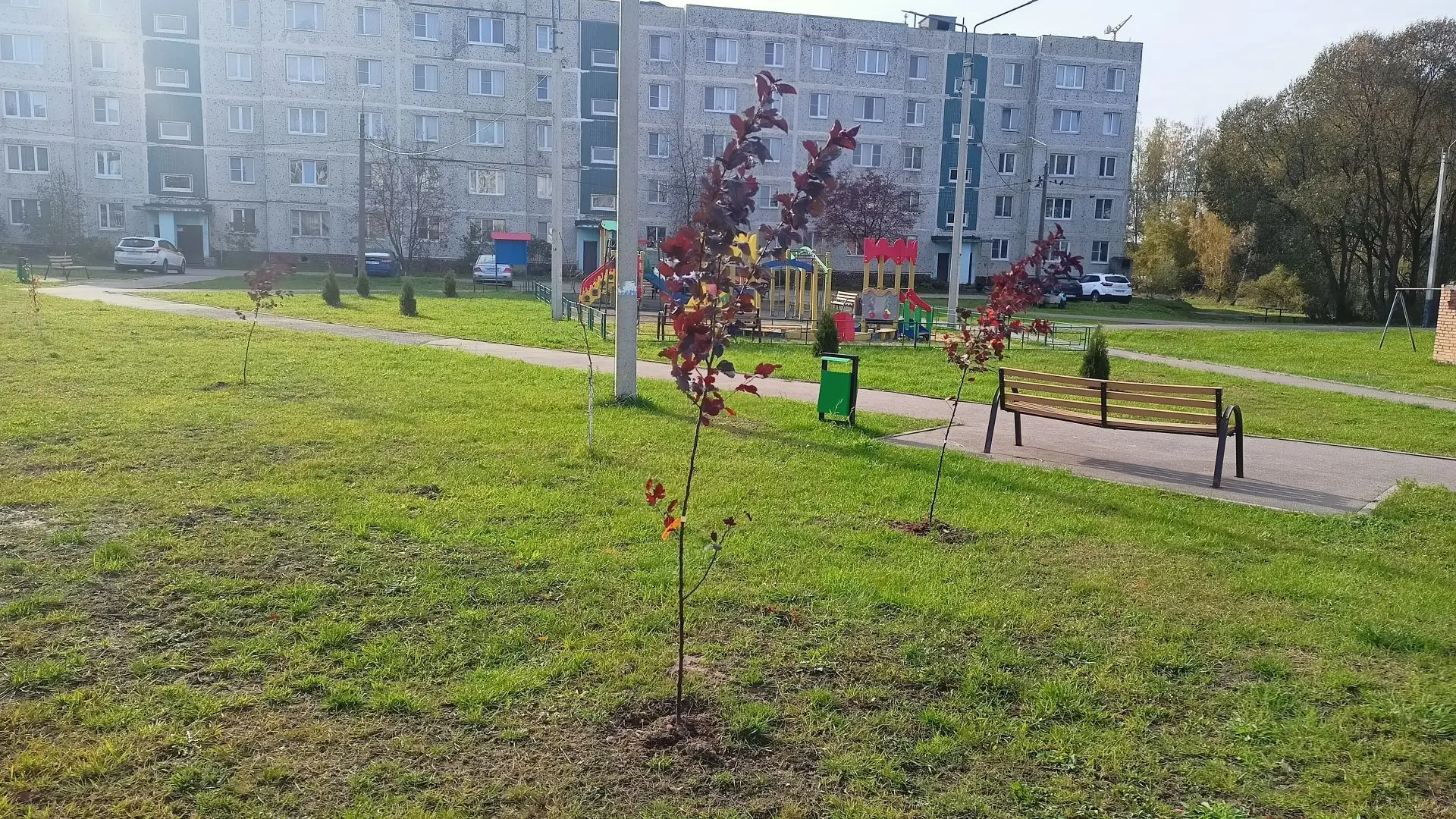 🎉 Хорошие новости для жителей д. Савинская! 🎉