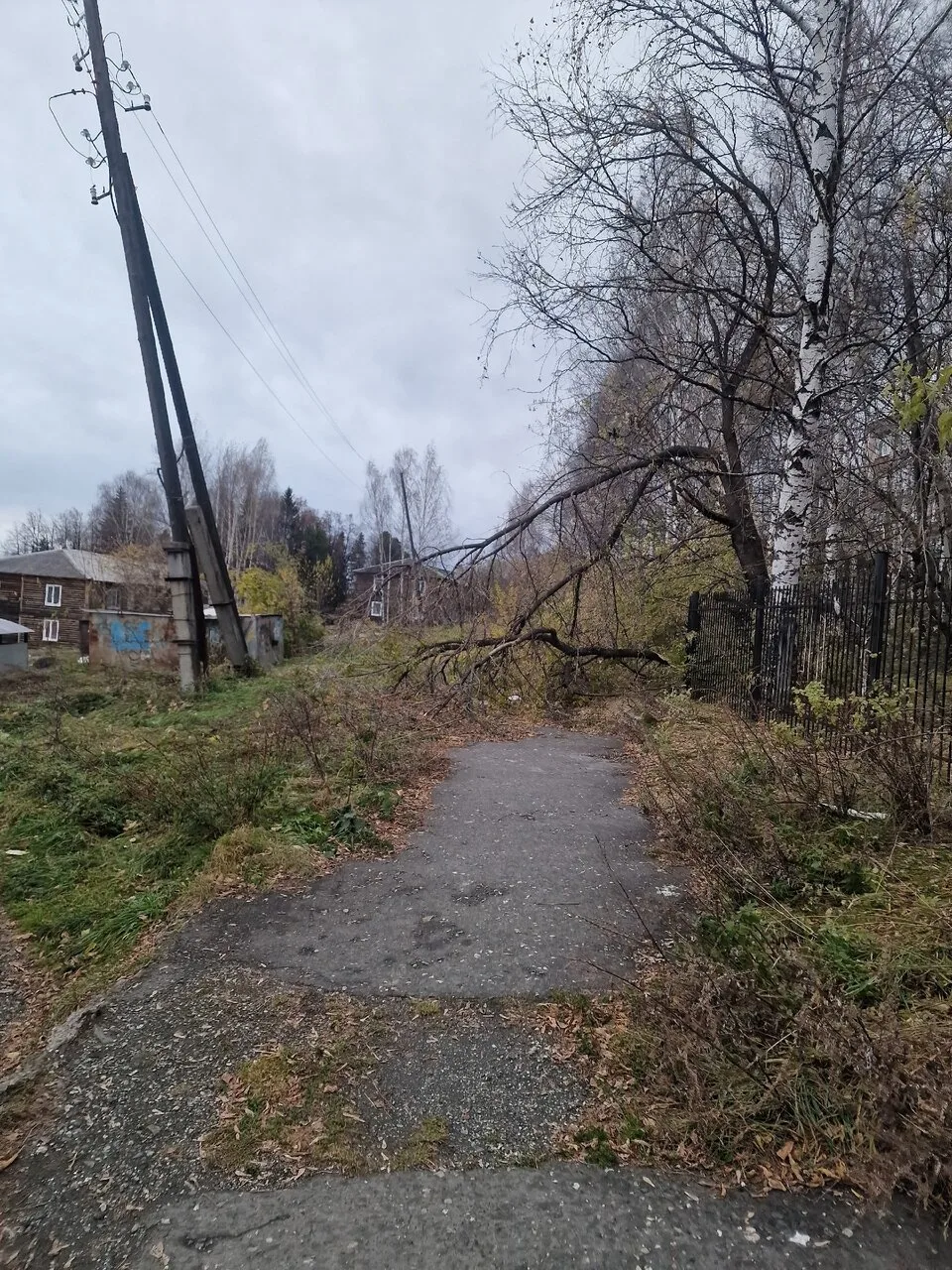 Друзья, подскажите пожалуйста, в какую организацию обратиться( контакты), чтобы убрали ...