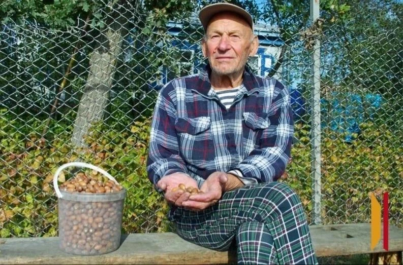 🌳 Житель Бутурлиновского района собрал почти 60 кг желудей с одного дуба.