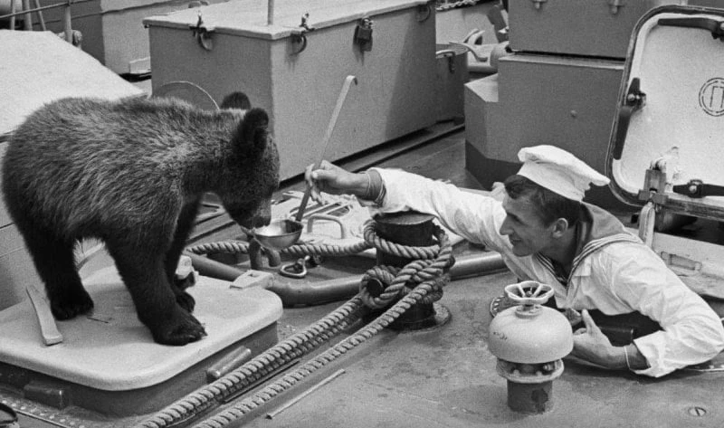 Снятие пробы
