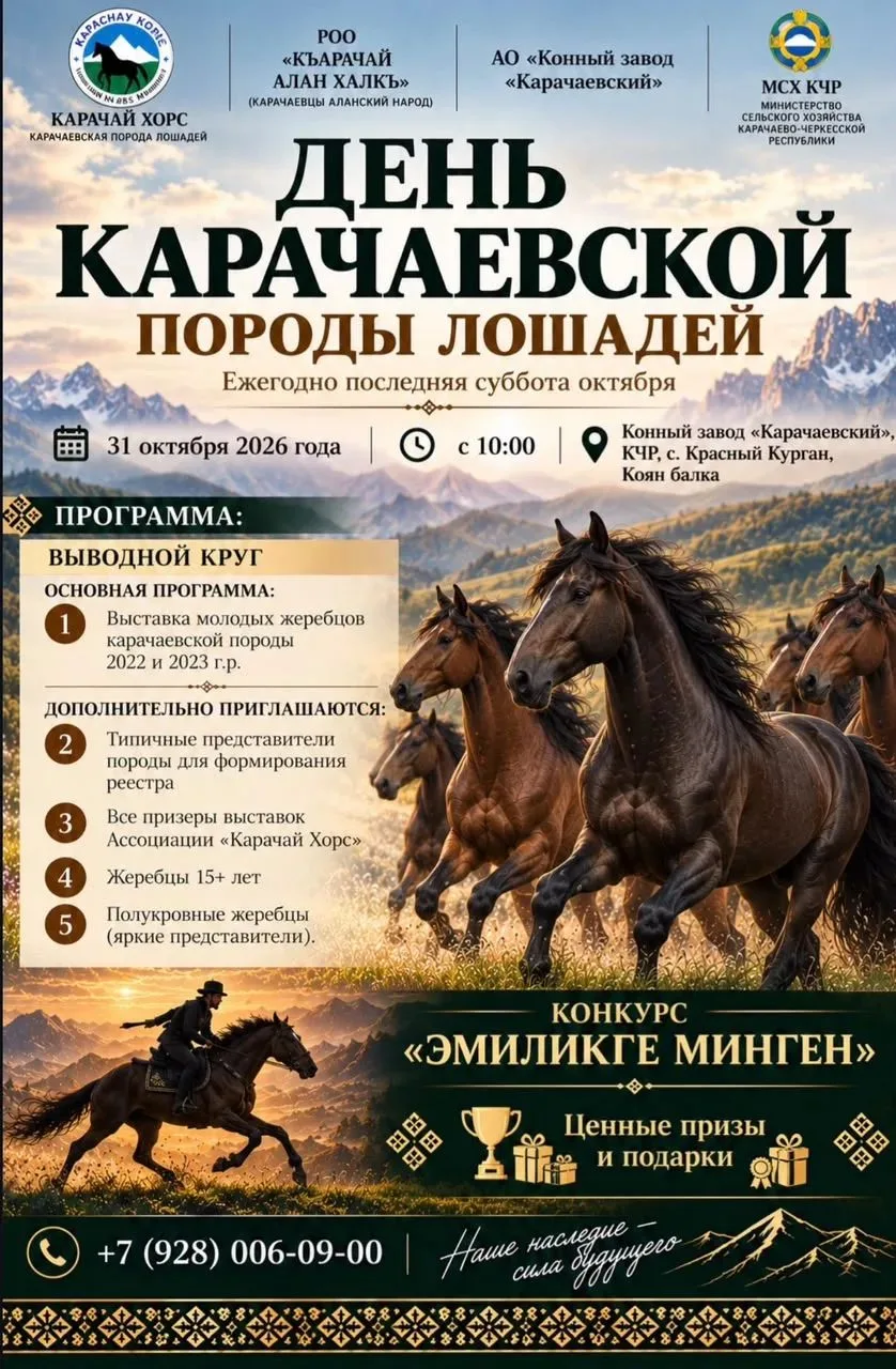 🐎 День карачаевской породы лошадей — праздник традиций, силы и красоты!