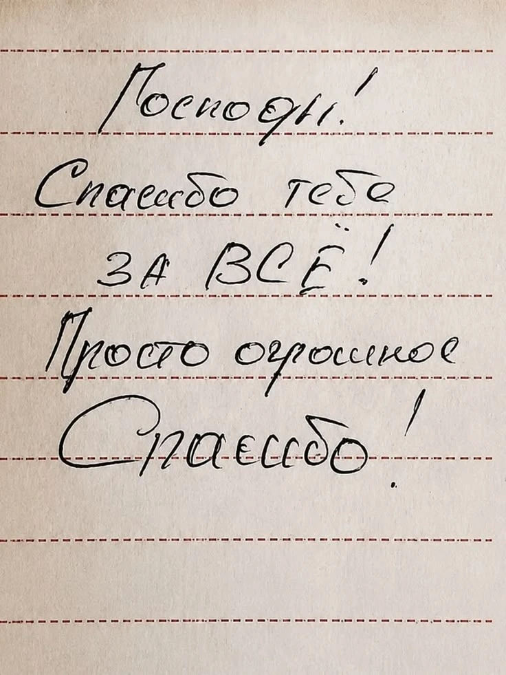 🙏✨🌹🕊️
