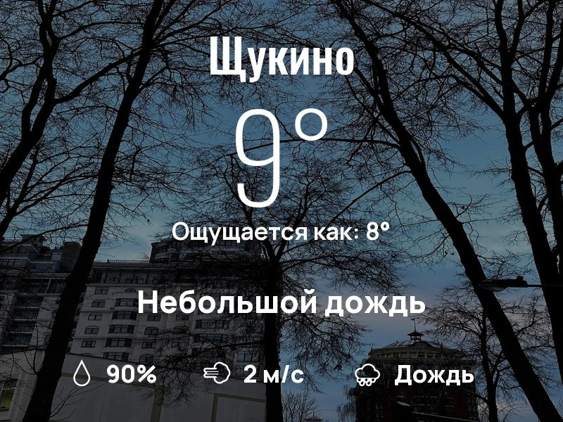 Что с погодой в Щукино?
