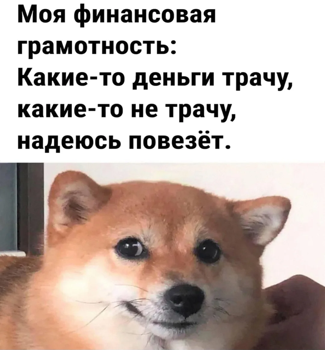 Скажите честно: вам тоже иногда кажется, что вы ничего не успеваете? Кредиты, дети, дом...