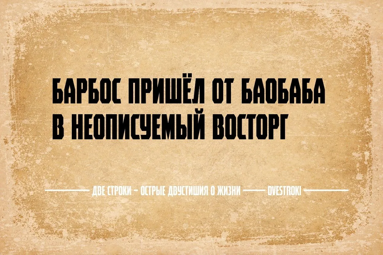 Две строки – остроумные двустишия в Telegram и Мах