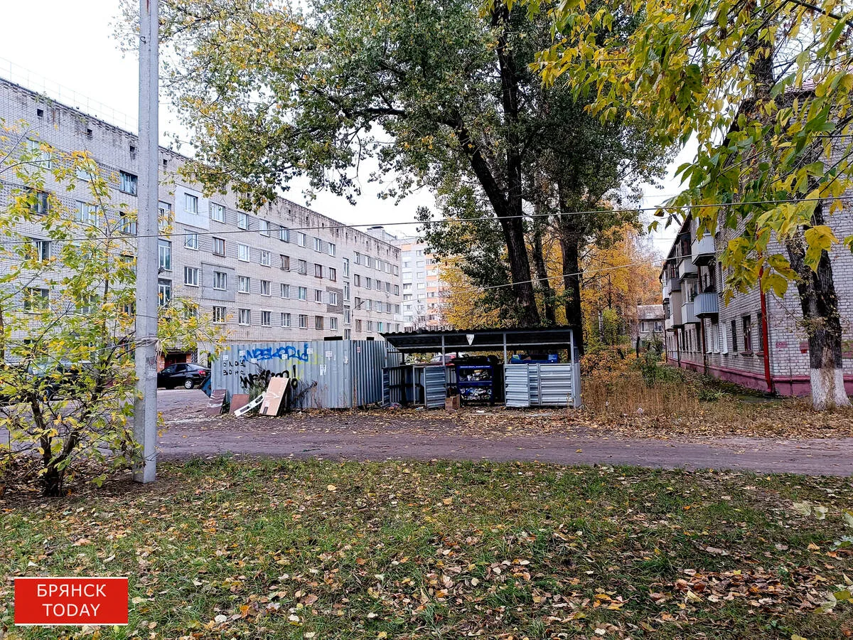 На уборку свалок у брянских контейнерных площадок потратят 2,7 млн