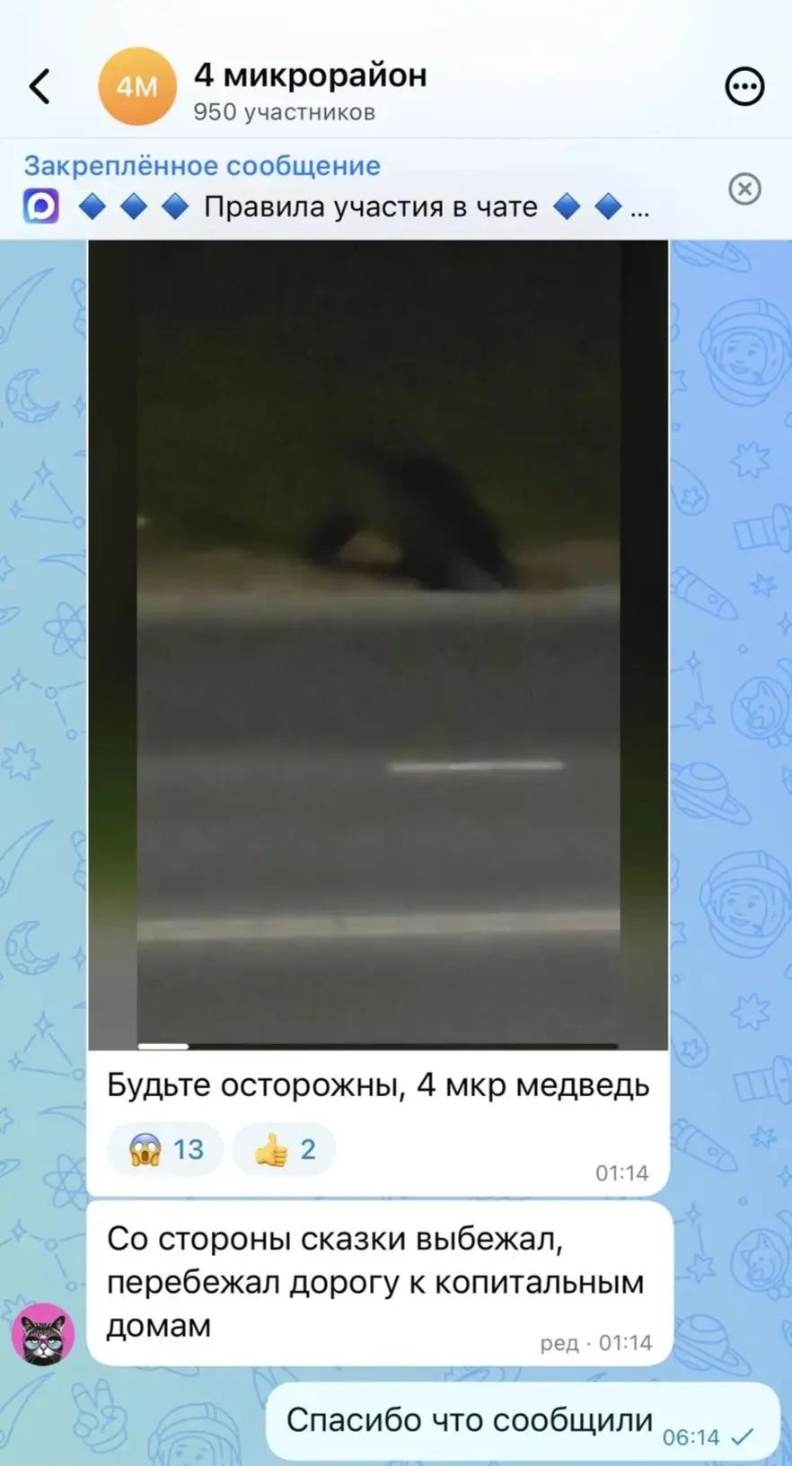 🐻 Будьте осторожны, 4 мкр медведь