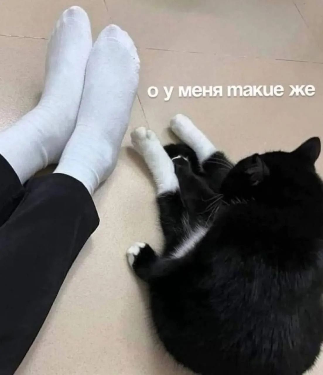 😎💬