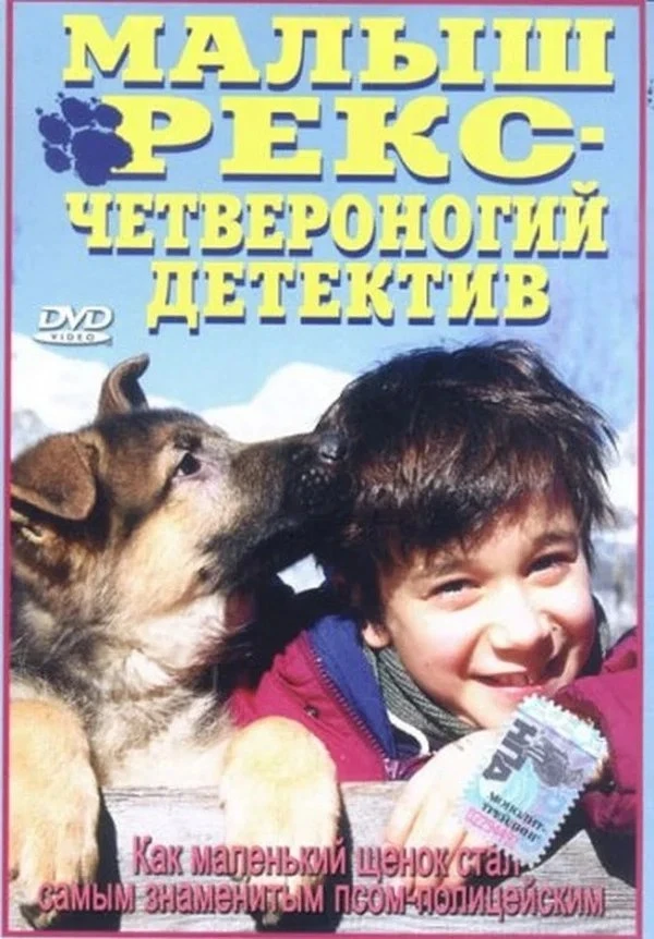 🎬 Киновечер в 19:00 (МСК)