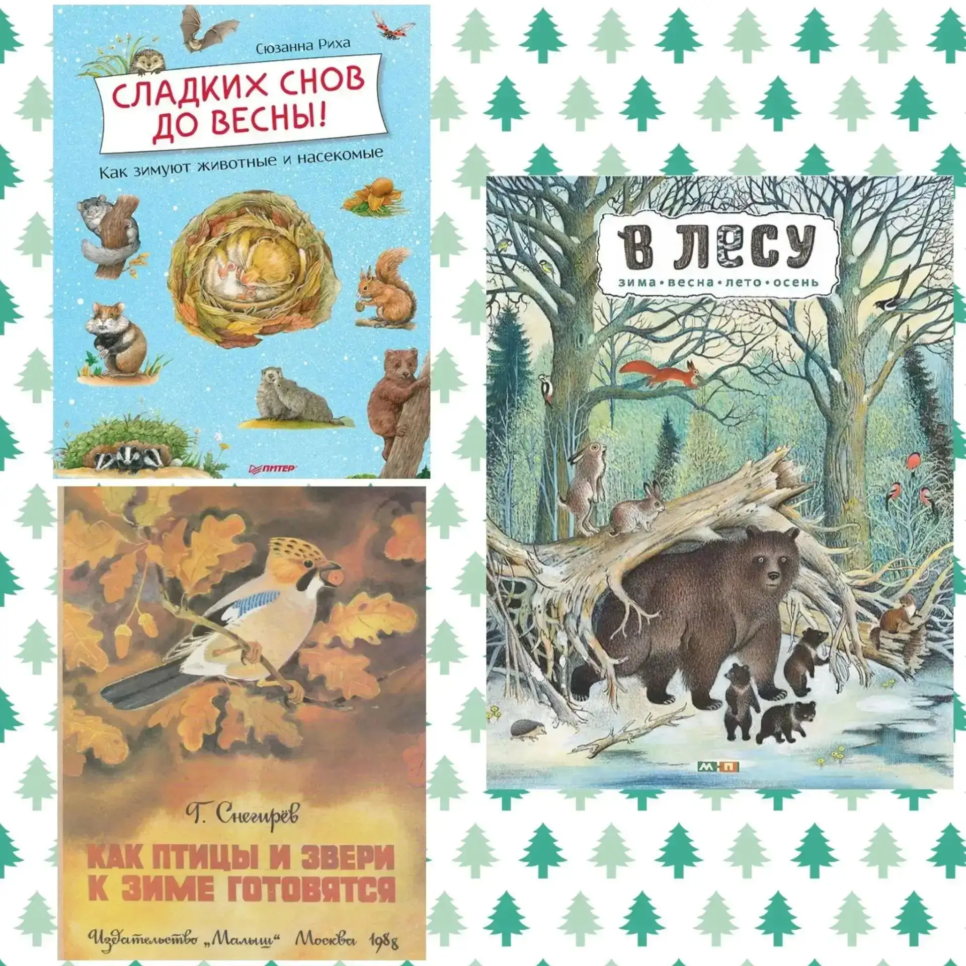‎💞"Семейное чтение. Сохраняем традиции."💞